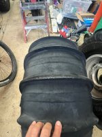 IMG_8464.jpeg IMG_8464.jpeg