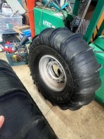 IMG_8466.jpeg IMG_8466.jpeg