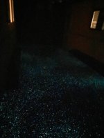 IMG-8736.jpg IMG-8736.jpg