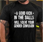 Screenshot 2023-12-27 at 05-39-09 A Good Kick In The Balls Will Solve Your Gender Confusion Co...png