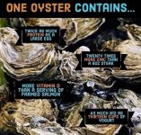 Oysters.jpg