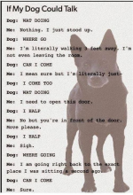 Dog Talk.png