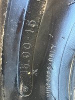 IMG_5317.jpeg IMG_5317.jpeg