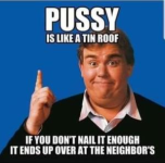 Pussy Roof.png