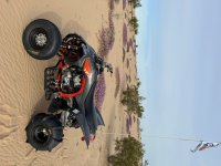 Glamis 2024 1.jpg