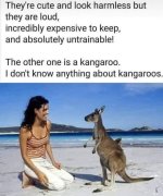 KangaroosMeme12.jpg