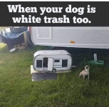 White Trash.png