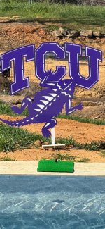 TCU Frogs.jpg