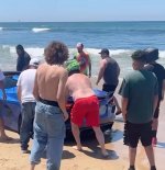 chevy-corvette-gets-stuck-in-the-sand-that-s-why-you-don-t-take-a-sports-car-to-the-beach-2276...jpg