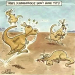 Kangaroos.png