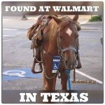 Horse WalMart.jpg