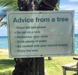 Tree Advice.jpg