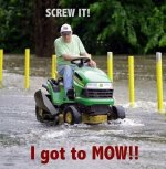 Got to Mow1.jpg