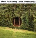 Turkey Loads.jpg